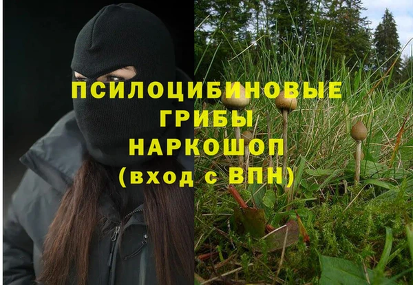 прущие крисы Абдулино