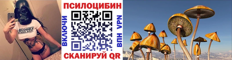 Галлюциногенные грибы мицелий  mega   Зеленогорск  купить  