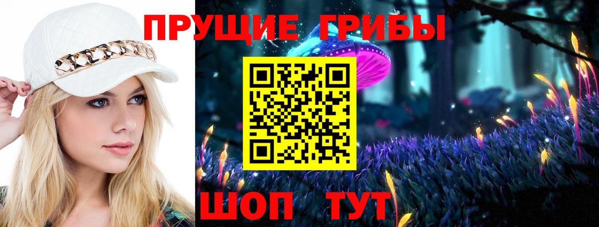 Псилоцибиновые грибы Psilocybine cubensis  купить наркотик  Зеленогорск  Псилоцибиновые грибы Cubensis  Вход с VPN 